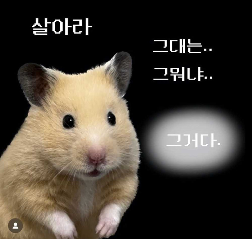 17605123618517.jpg