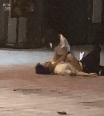 [킹재규] SM좋아하시는 형들 소개해드림