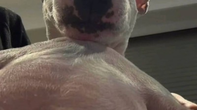 자기야 오늘 긴장해